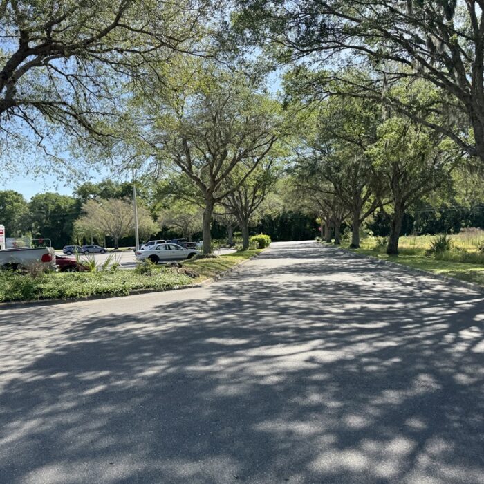 View down driveway from corner where Windsor parked to left